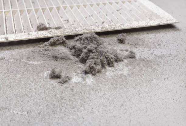 Best Emergency Air Duct Cleaning  in Minneota, MN
