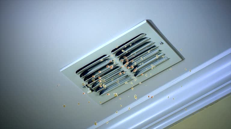 Best Affordable Air Duct Cleaning  in Minneota, MN