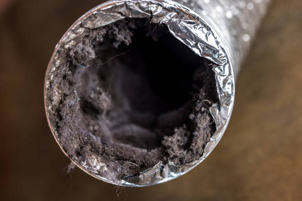 Best HVAC Air Duct Cleaning  in Minneota, MN