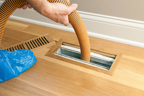 Best Affordable HVAC Duct Cleaning  in Minneota, MN