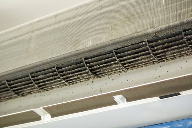Best Ventilation Cleaning Services  in Minneota, MN