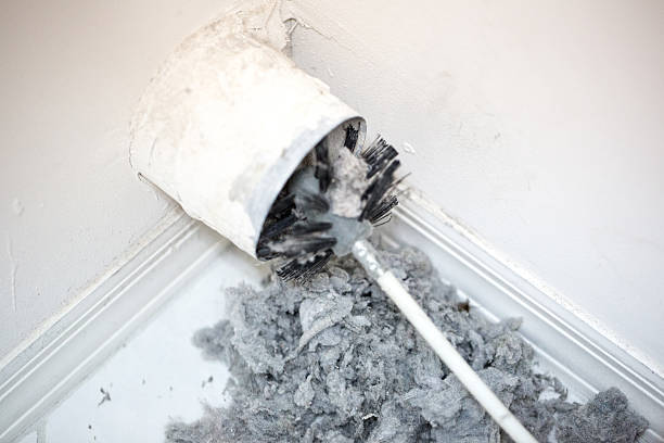 Best Affordable Duct Cleaning Services  in Minneota, MN