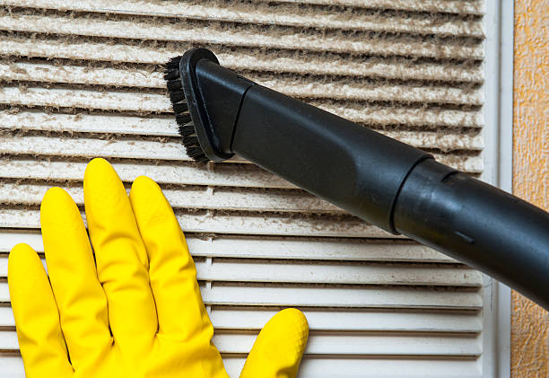Best Air Duct Cleaning Near Me  in Minneota, MN