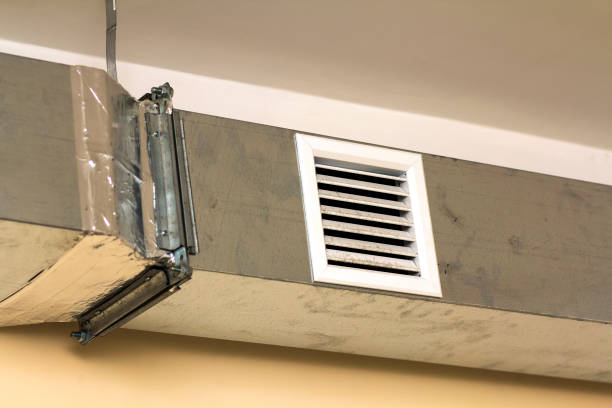 Best Home Air Vent Cleaning  in Minneota, MN